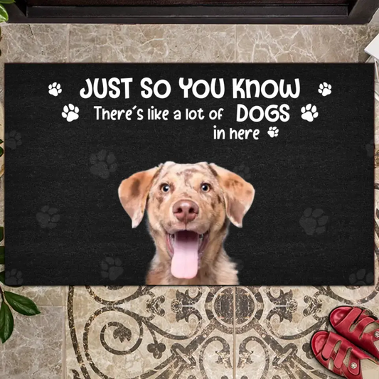 Just So You Know There's Like A Lot Of Dogs In Here, Personalized Doormat - Upload Image - Gifts For Pet Lovers
